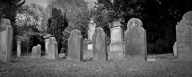 Le déroulement de l’exhumation