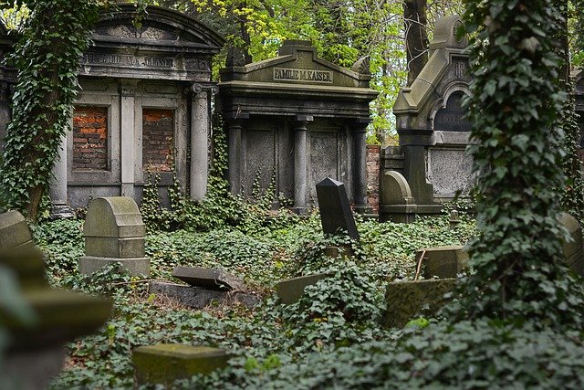 Abandon de concession : ce qu’il faut savoir ?