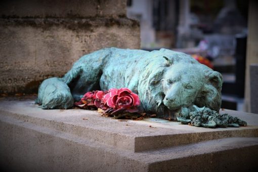Obsèques animalières : comment faire le deuil ?