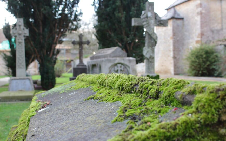 Lichen, mousse et moisissure : comment lutter contre les ravages du temps sur les sépultures ?